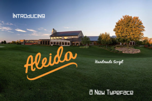 Aleida Typeface for Modern Web Design
