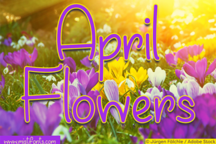 April Flowers: A Handwritten Typeface for Editorial Design
