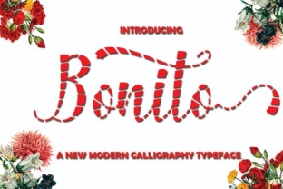 Bonito Font: A Playful Script for Small Business Branding