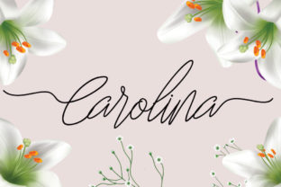 Carolina Font: Elevate Your Brand Identity