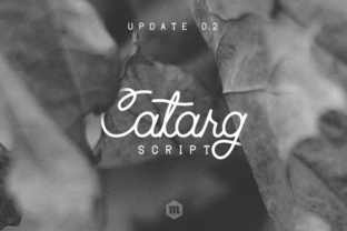 Catarg Font: Vintage Script for Web Design
