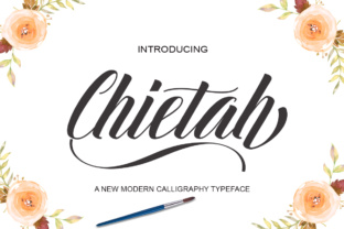 Chietah Font Review: A Stylish Script for Branding