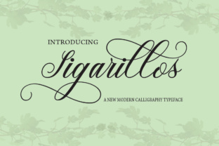 Sigarillos: A Script Font That Elevates Brand Identity
