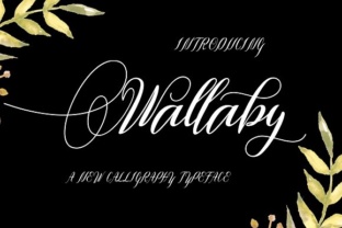 Wallaby: The Handmade Script Font for Marketers